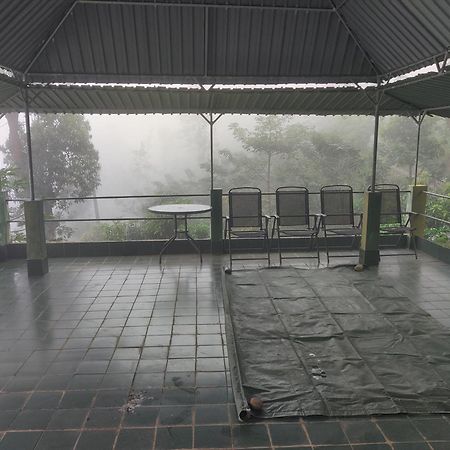 Rohana Estate Lodging & Camping Kandy Exteriör bild
