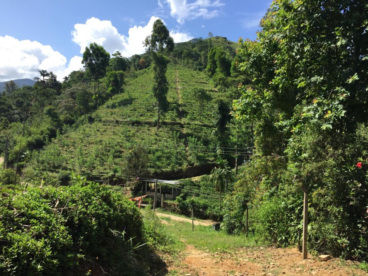 Rohana Estate Lodging & Camping Kandy Exteriör bild