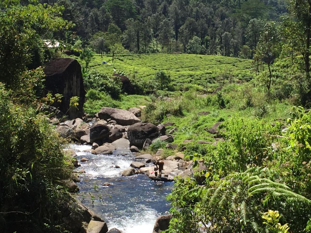 Rohana Estate Lodging & Camping Kandy Exteriör bild