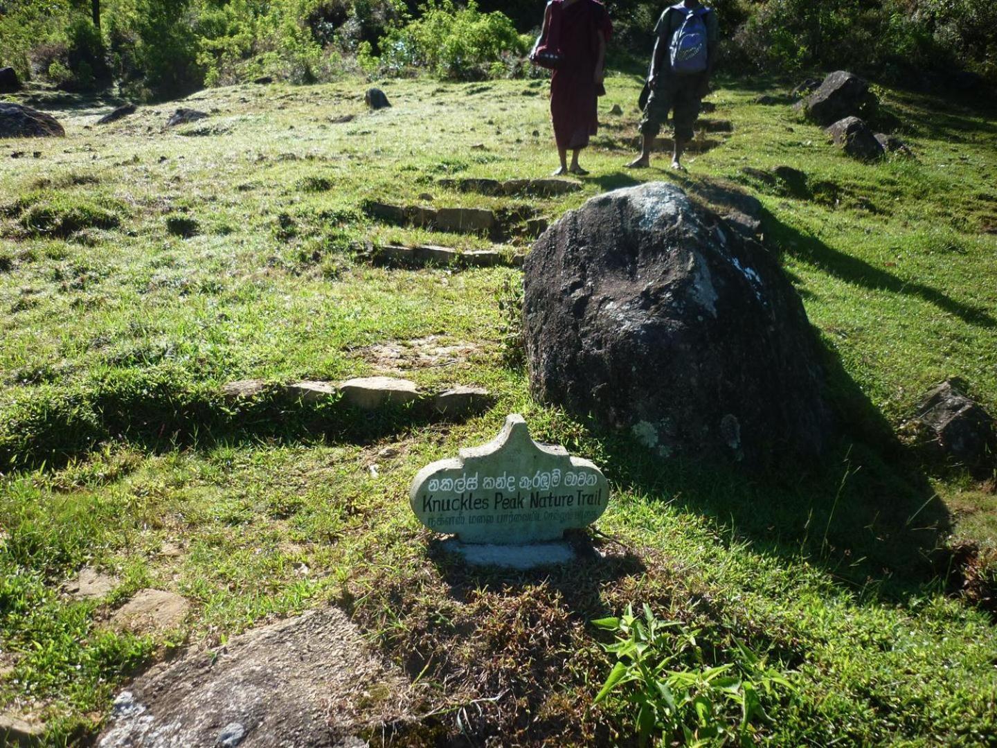 Rohana Estate Lodging & Camping Kandy Exteriör bild