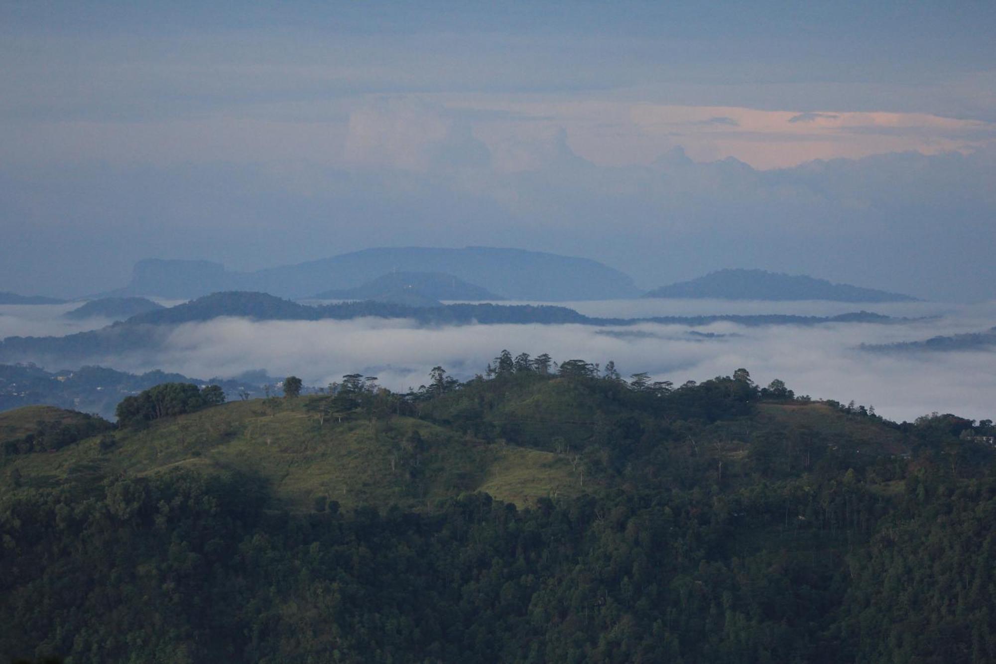 Rohana Estate Lodging & Camping Kandy Exteriör bild