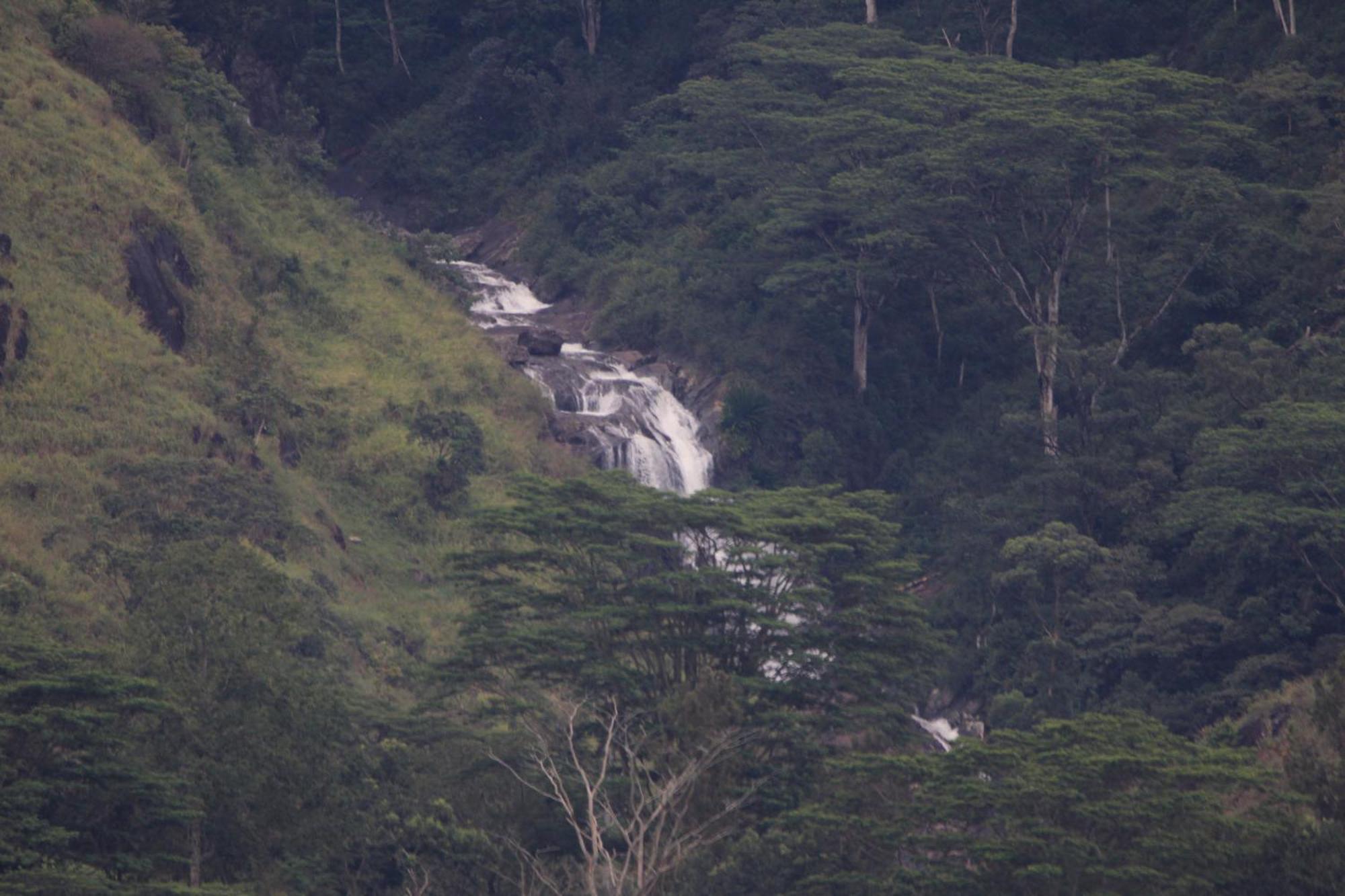 Rohana Estate Lodging & Camping Kandy Exteriör bild
