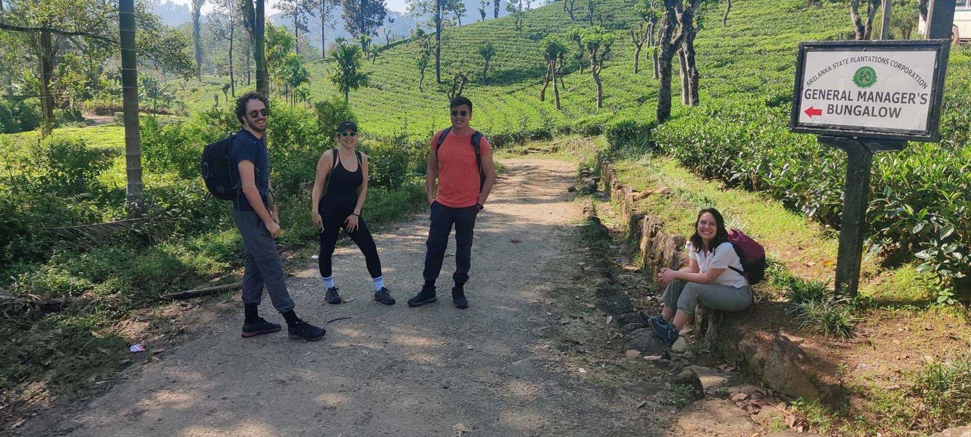 Rohana Estate Lodging & Camping Kandy Exteriör bild