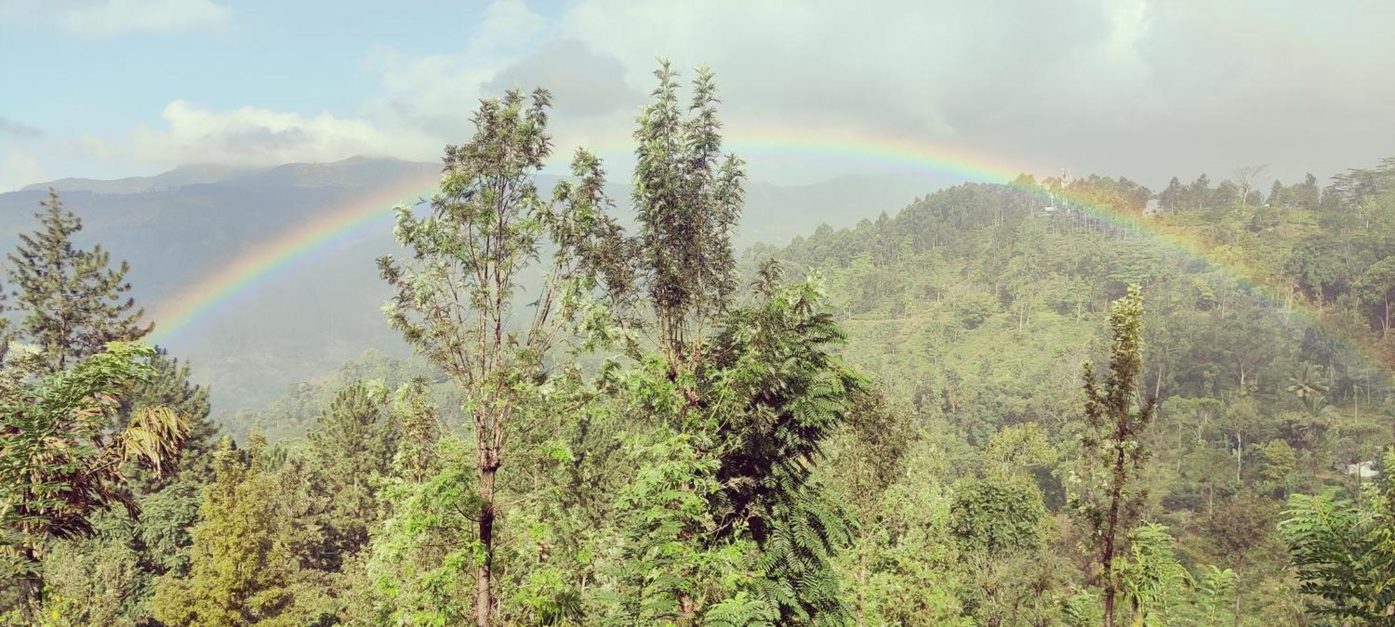 Rohana Estate Lodging & Camping Kandy Exteriör bild