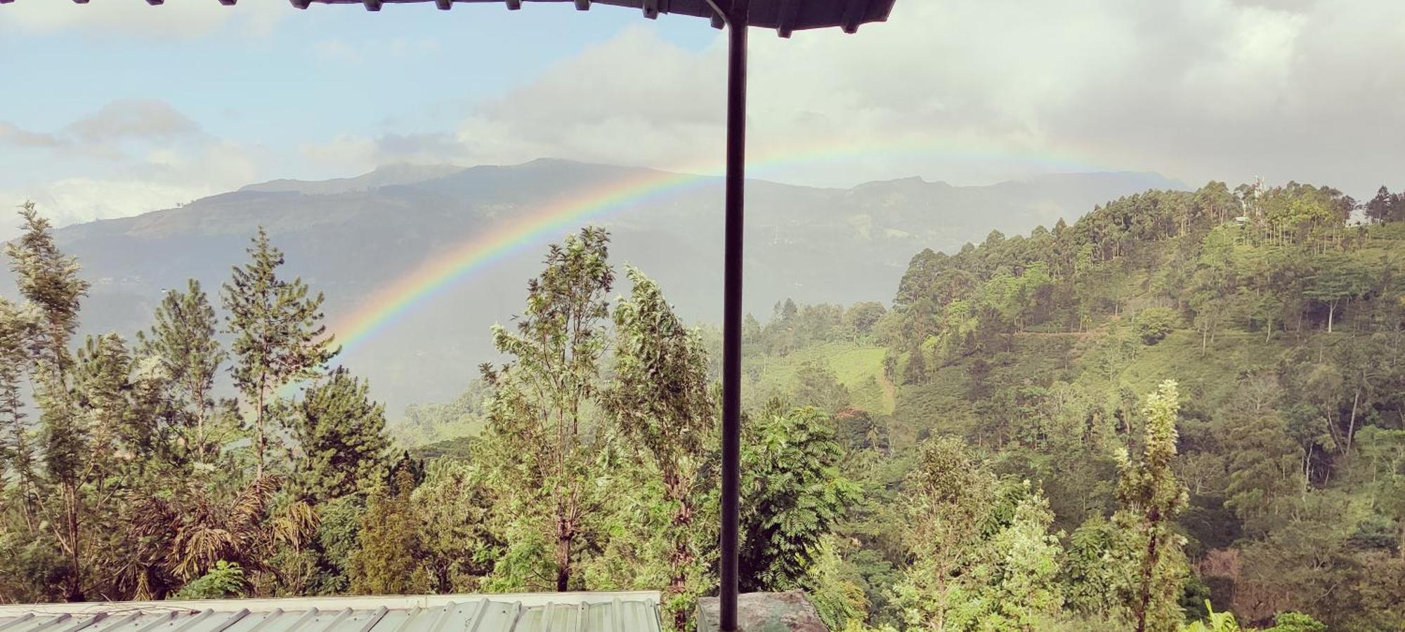 Rohana Estate Lodging & Camping Kandy Exteriör bild